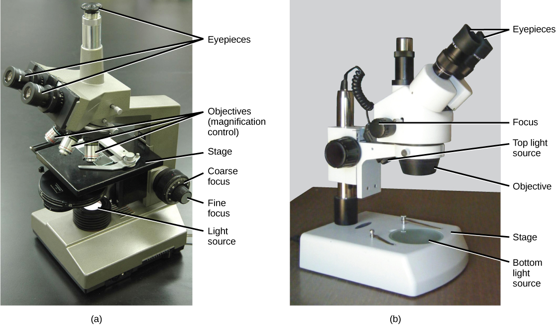 figure_03_02 pictures of microscopes