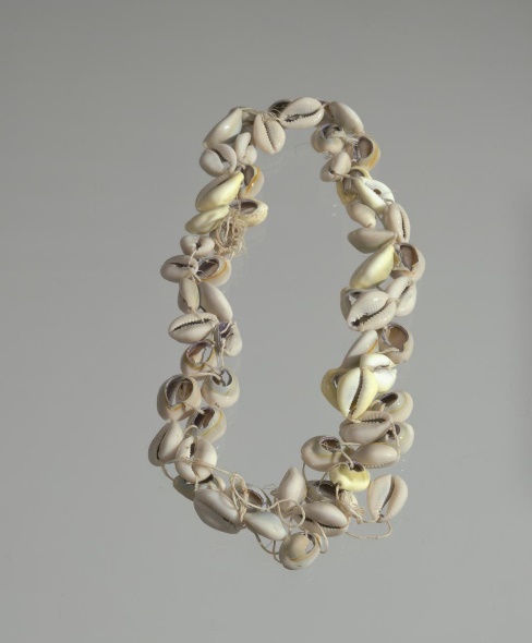 A string of cowrie shells.