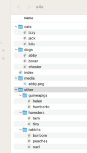 Animals for Adoption Website Directory Structure