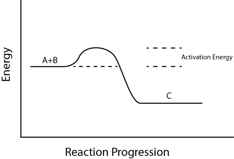 Free and Activation Energy – Biology I Cellular Processes