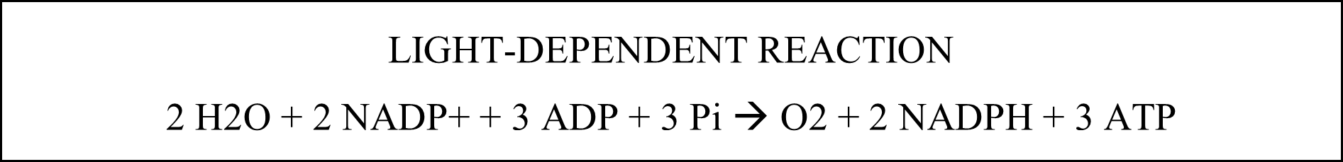 This photo represent the light dependent reaction