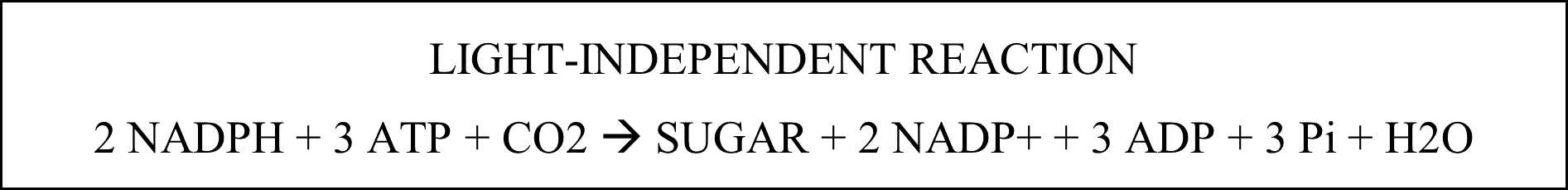 This photo represent the light-independent reaction