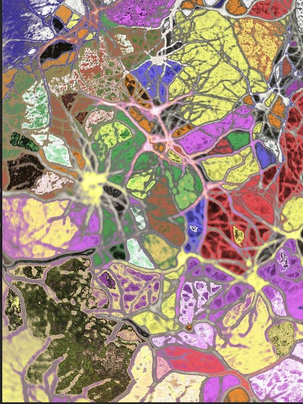 Cover image for Educational Learning Theories