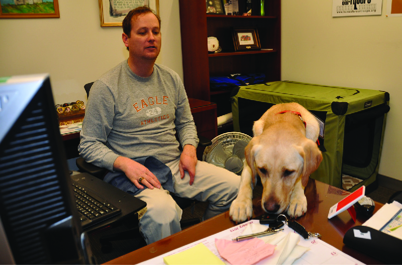 This image shows a man sitting in a chair and a dog grabbing keys from a table with its mouth.